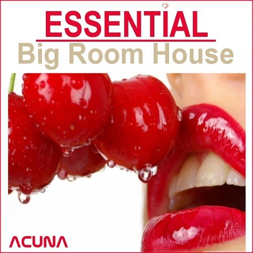 VA - Essential Big Room (2014/MP3)