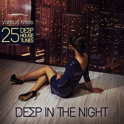 VA - Deep In The Night: 25 Deep House Tunes (2015) MP3