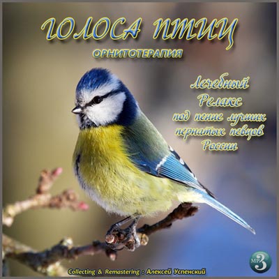 Звуки природы - Голоса птиц - Лечебный релакс (2015) MP3