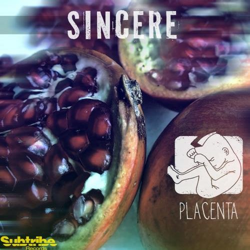 Placenta - Sincere (2014) MP3