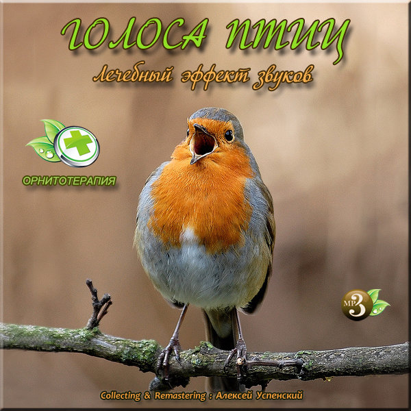 Звуки природы - Голоса птиц - Лечебный эффект звуков (2015/MP3)