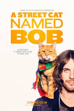 Уличный кот по кличке Боб / A Street Cat Named Bob (2016/BDRip) 1080p | Лицензия