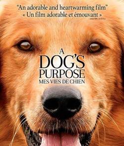 Собачья жизнь / A Dog's Purpose (2017/TS) | D