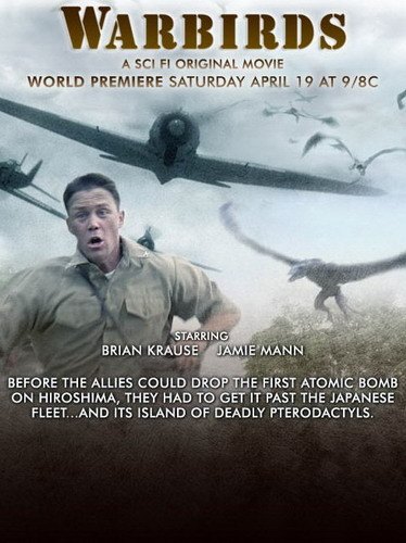 Птицы войны / Warbirds (2008) DVDRip