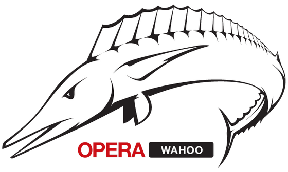 Opera Next 12.00 Build 1042 Pre-alpha + Portable (2011) PC
