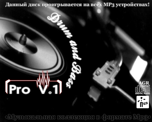VA - Drum and Bass Pro V.1 (2012/MP3)