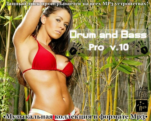 VA - Drum and Bass Pro V.10 (2013/MP3)