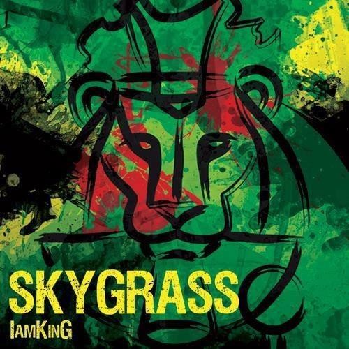 Skygrass - I Am King (2013/MP3)