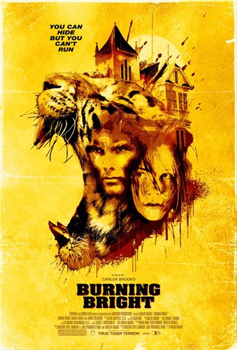 Обжигающе красивый / Burning Bright (2010) DVDRip