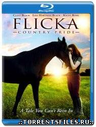 Флика 3 / Флика: гордость страны / Flicka: Country Pride (2012) HDRip | Лицензия